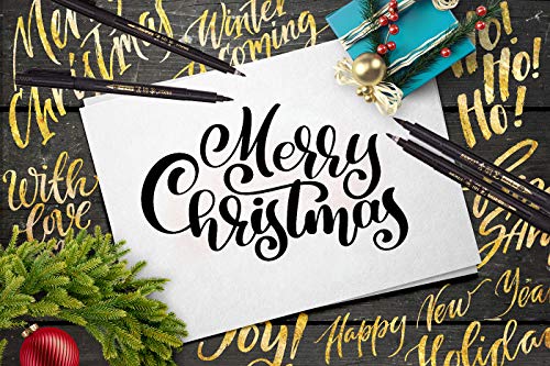 Lettering Pens for Beginners Writing, Signature, Greetings Card, Calligraphy Practicing, Illustration, Hand Lettering, Art Drawing, Refill Brush Calligraphy Markers Set, 4 Size(6 Pack)
