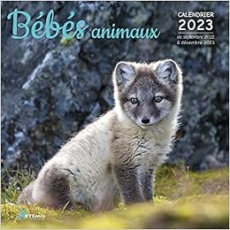 Calendrier 2023 Bébés Amazon.fr - Calendrier Bébés Animaux 2023 - Collectif - Livres