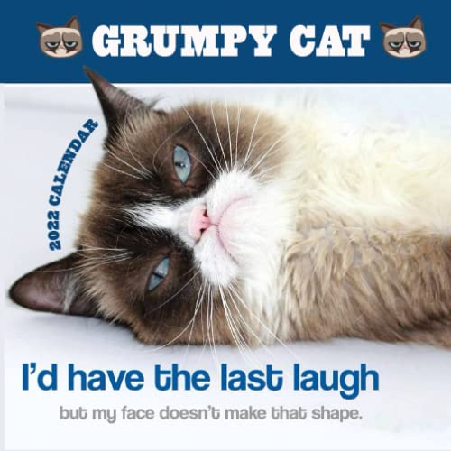 Grumpy Cat Calendar 2022 2022 2023 Calendar Animals animal Wildlife grumpy-cat-calendar-2022-2022-2023-calendar-animals-animal-wildlife