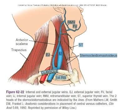 Nelson Textbook of Pediatrics: Expert Consult Premium Edition - Enhanced Online Features and Print, 19e