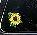 Yadda-Yadda Design Co. Sunflower D2 - Stained Glass Style Vinyl Decal for Cars | Trucks | Gas Cap | Outdoor Use (Size Choices Available) (Medium 5.5
