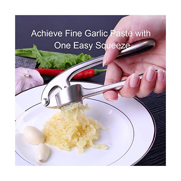 Garlic Press, Garlic Crusher Press to Press Clove and Smash Ginger Handheld Zinc Alloy Rust-Proof Tool for Kitchen