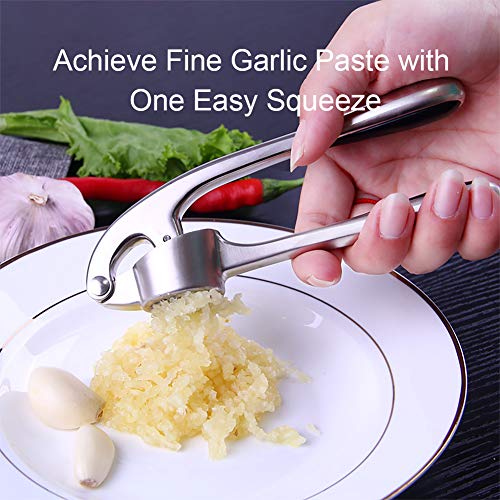 Garlic Crusher, Garlic Mincer to Press Clove and Smash Ginger Handheld Zinc Alloy Rust-proof Tool for Kitchen