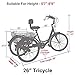 VANELL 7/1 Speed Tricycle Adult 20/24/26 in Trike Cruise Bike 3 Wheeled Bicycle W/Large Size Basket for Women Men Shopping Exercise Recreation (Light Green, 26 inch/ 7 Speed)thumb 3