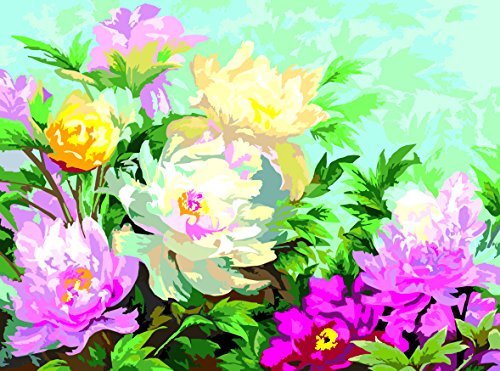 PAINT BY NUMBERS FLOWERS - INTERHOME