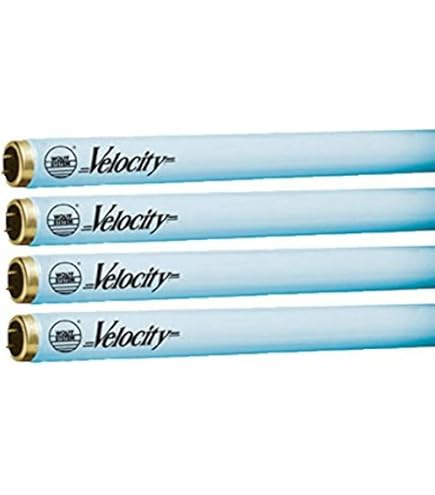 Wolff Systems Isolde Cleo 15W UVA Bi-Pin Tanning Lamp (8) - Amazon.com