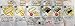 Japanese Sushi Roll Making Kits