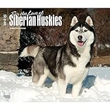 For the Love of Siberian Huskies Deluxe - 2017 Calendar 14 x 12in