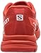 Salomon S-Lab Sonic Shoe