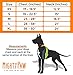 Mighty Paw Sport Harness, No-pull Front Attachment Dog Harness, Neoprene Padded Lining, Reflective stitching, 2 Leash Attachment Options (Small, Black)