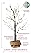 LOFTPLUS LED Snow Tree Bonsai String Light 24 LED for Indoor use Warm White Battery-Operated 5V DC Adapter Burlap Sack Included 24in