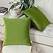 CaliTime Pack of 2 Cozy Throw Pillow Covers Cases for Couch Sofa Bed Solid Ultra Soft Gorgeous Velvety Faux Cashmere 18 X 18 Inches Olive Green
