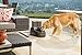 PetSafe Drinkwell Indoor/Outdoor Dog Fountain, Pet Drinking Fountain for Dogs and Cats, 450 oz. Water Capacity