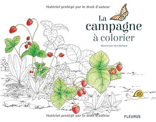 La  campagne à colorier