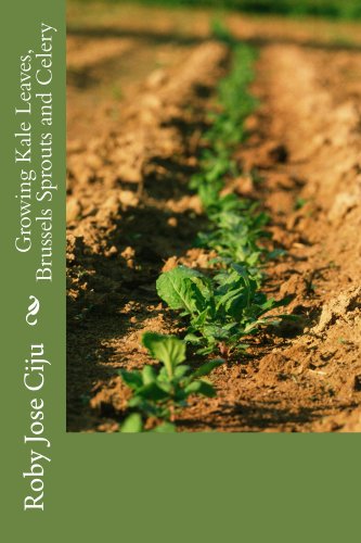 Growing Kale Leaves, Brussels Sprouts and Celery
