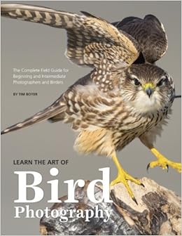 Learn The Art Of Bird Photography The Complete Field Guide