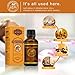 Pure Ginger Oil, Natural Lymphatic Drainage Ginger Essential Oils, Natural Therapeutic Massage Oil Promote Blood Circulation, Relieve Muscle Soreness 2pcs