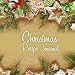 Christmas Recipe Journal: Recipe Notebook to Write In for Women. Document All Your Special Family Re by 