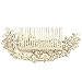 EVER FAITH Women's Austrian Crystal 5 Inch Bridal Flower Bouquet Hair Side Comb Clear