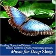 Healing Sounds of Nature: Tropical Rainforest At Night, Waterfall and Crickets