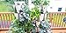 Huge 4 Tier GreenStalk Vertical Planter – for Urban and Small Space Gardening (Stunning Stone)