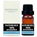 Nature Hue - Eucalyptus Essential Oil 10 ml, 100% Pure Therapeutic Grade, Undiluted