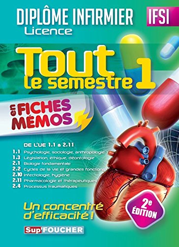Télécharger DEI ; tout le semestre 1 en fiches mémos (2e édition)