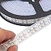 XKTTSUEERCRR 3528 SMD 16.4Ft 5 Meter Double Row 1200LEDs Cool White Waterproof Flexible LED Strip Lights 240LEDs/M 1200LEDs/Roll String Lights