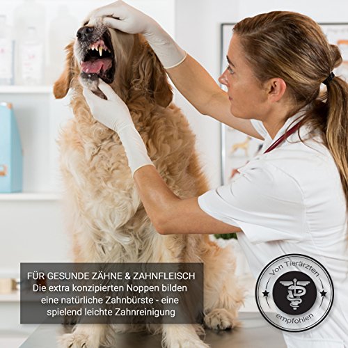 PetPl-Hundeball-mit-Zahnpflege-Funktion-Noppen-Hundespielzeug-aus-Naturkautschuk-Robuster-Hunde-Ball--7cm-Hundespielball-fr-Groe-Kleine-Hunde-Kauspielzeug-aus-Naturgummi-fr-Leckerli