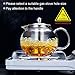 Small Teapot, Teapot with Infuser, Glass Tea Kettle Stovetop Safe, Blooming and Loose Leaf Tea Maker Set Gift for Women, 650ml/22oz