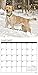 Just Yellow Labs 2017 Wall Calendar (Dog Breed Calendars)