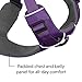 Ruffwear, Front Range Dog Harness, Reflective Soft Padded Everyday Harness with Dual Leash Clips, Adjustable and Lightweight Fit for Training or Walking for All Dogs, Tillandsia Purple, Small
