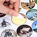 600 Pieces Animal Reward Stickers 30 Design Incentive Stickers Motivational Encouragement Stickers Fun Animal Stickers for Teachers Kids