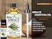 Biofinest Spruce Essential Oil - 100% Pure Organic Therapeutic Grade - Best for Aromatherapy, Skin and Hair Care, Ease Sleep Stress Bad Mood Fatigue Muscle Joint Pain Arthritis - Free E-Book (10ml)