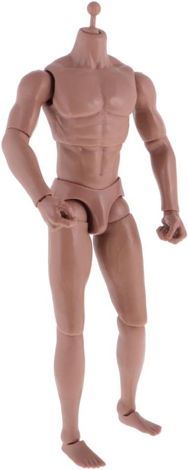 Homyl 1/6 12" Action Figure Male Body Wide Shoulder wi/ Neck for Soldier Story TC Dragon Toy