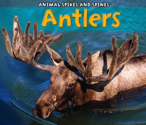 Antlers Hardcover – May 1, 2011