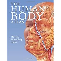 洋書 Body Atlas (Vietnamese book) The Body Atlas: A Pictorial Guide to the Human Body (DK