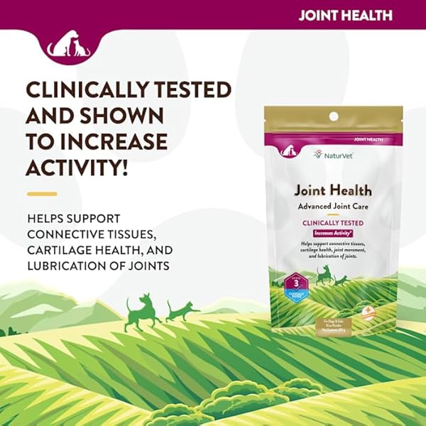 NATURVET JOINT HEALTH LEVEL 3 PET SUPPLEMENT FOR CATS & DOGS – HELPS SUPPORT HIP & JOINT FUNCTION – INCLUDES HYALURONIC ACID, GLUCOSAMINE, MSM, CHONDROITIN – 10 OZ. POWDER