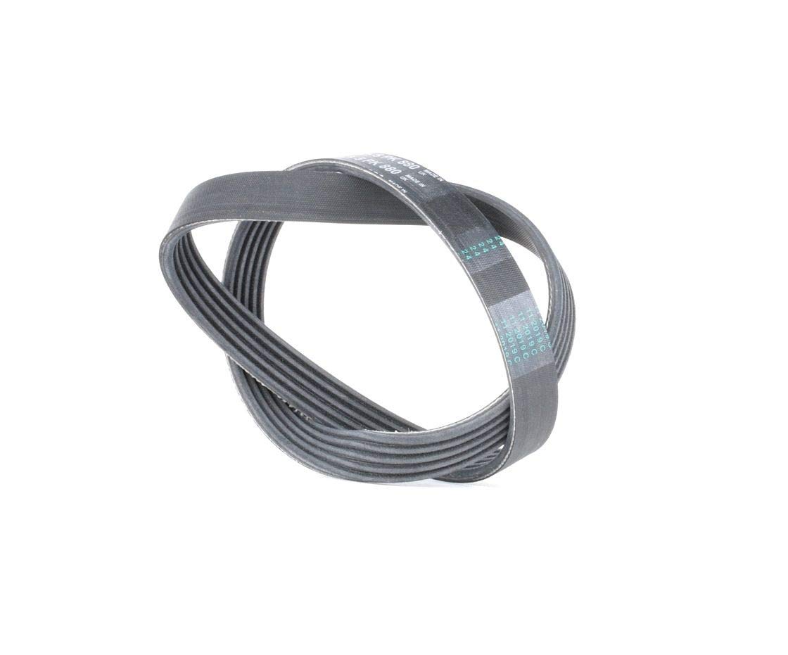 Contitech 5PK880 V-ribbed belt