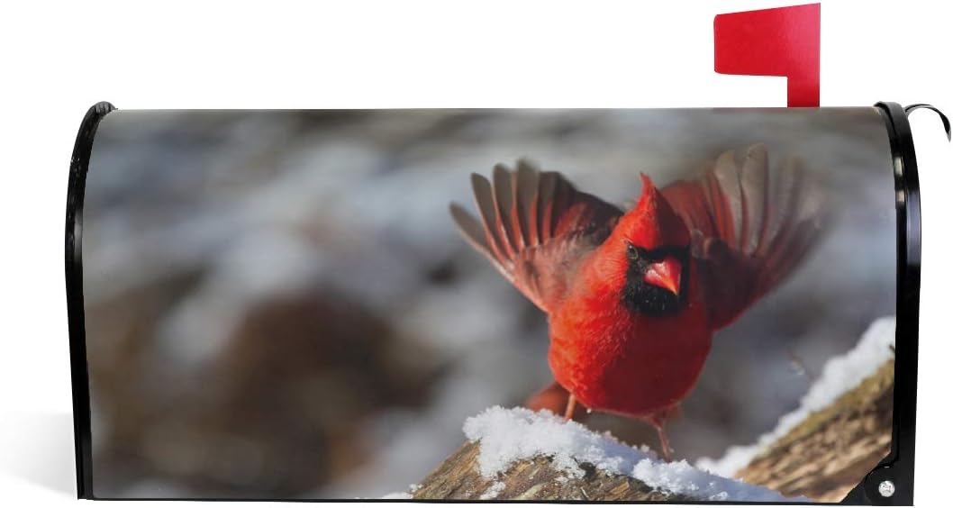 Mailbox Covers Wraps Cardinal Bird Winter