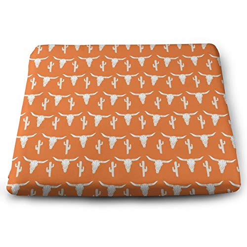 Best seat cushion with lumbar support one piece