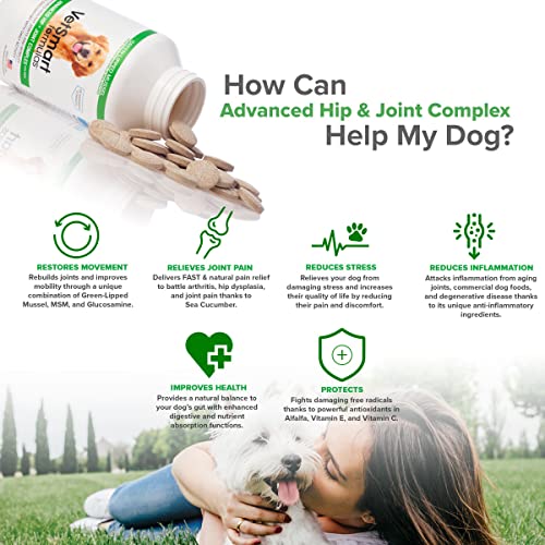 Joint Supplement for Dogs Green Lipped Mussel, MSM + Glucosamine