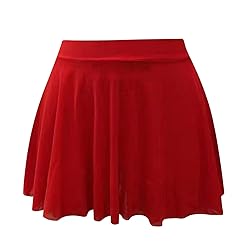 Women's Sexy Sheer Micro Mini Skirt - High Waist