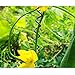 VIMOA Garden Twine Bonsai Training Wire 65 Feet 2mm Garden Twist Tie for Tomato Plants, Climbing Roses, Vines, Cucumbers, Squash and Wrapping Cordsthumb 2