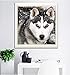 Fairylove 30×30 Diamond Painting Kit Dogs Full Drill Paint with Diamonds Dotz Kit for Fun Diamond Cross Stitch Kits Embroidery Art Crafts,Husky in The Snow Day