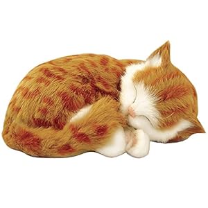 Amazon.com: Perfect Petzzz Orange Tabby Cat Realistic ...