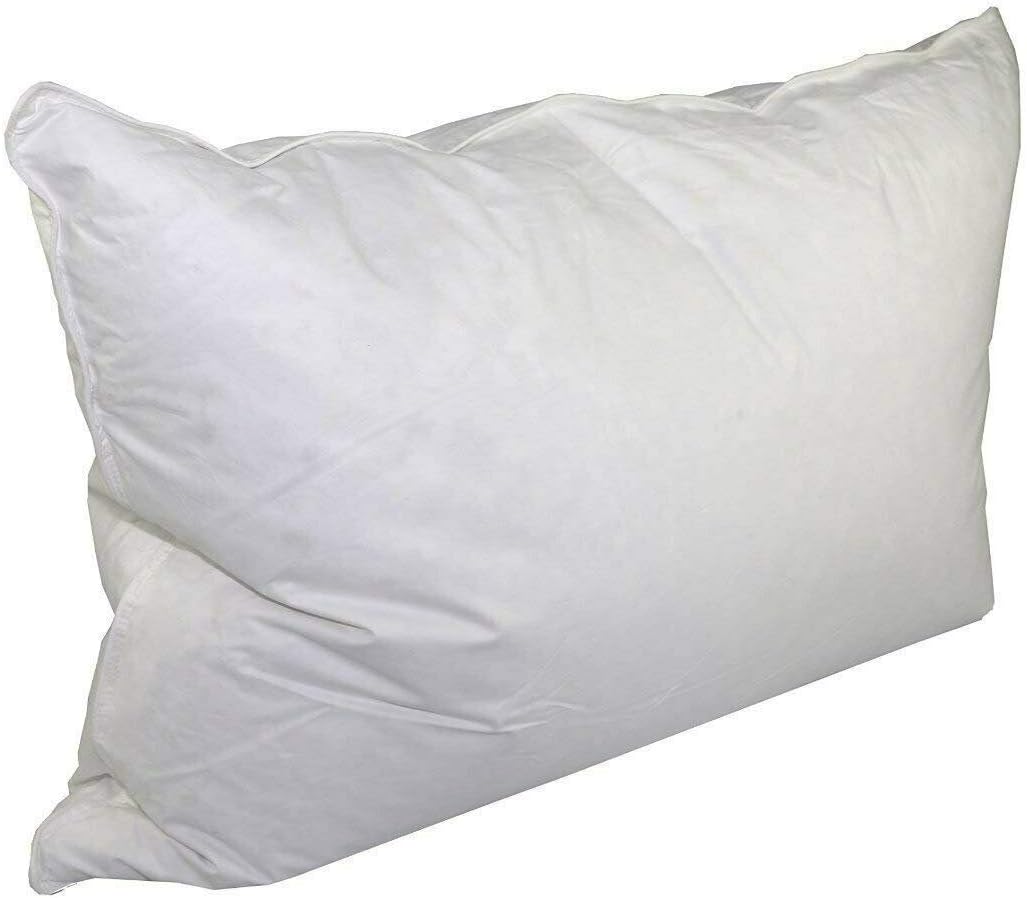 Envirosleep Dream Surrender Queen Pillow Home & Kitchen