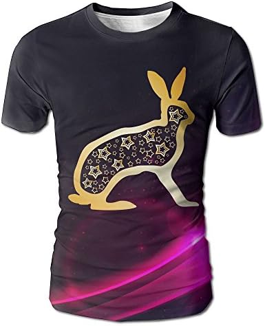 Zodiac Rabbit Men's Cool Short Sleeve Crewneck Short Sleeve T-Shirt Tee Shirt S