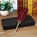 OPENDGO Vintage Feather Quill Pen and Ink Set Feather Dip Pen Calligraphy Pen Set Writing Quill Ink Dip Pen with Ink and 5 Nibs for Writing Drawing,Birthday Wedding Gift Set