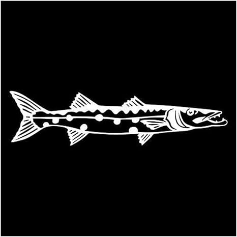 Amazon 創造性 15 2x3 8cmバラクーダ魚ビニールデカールカースタイリングおかしい漫画のキャラクターステッカーオートバイアクセサリーc6 1298 Color Silver ウォールステッカー オンライン通販